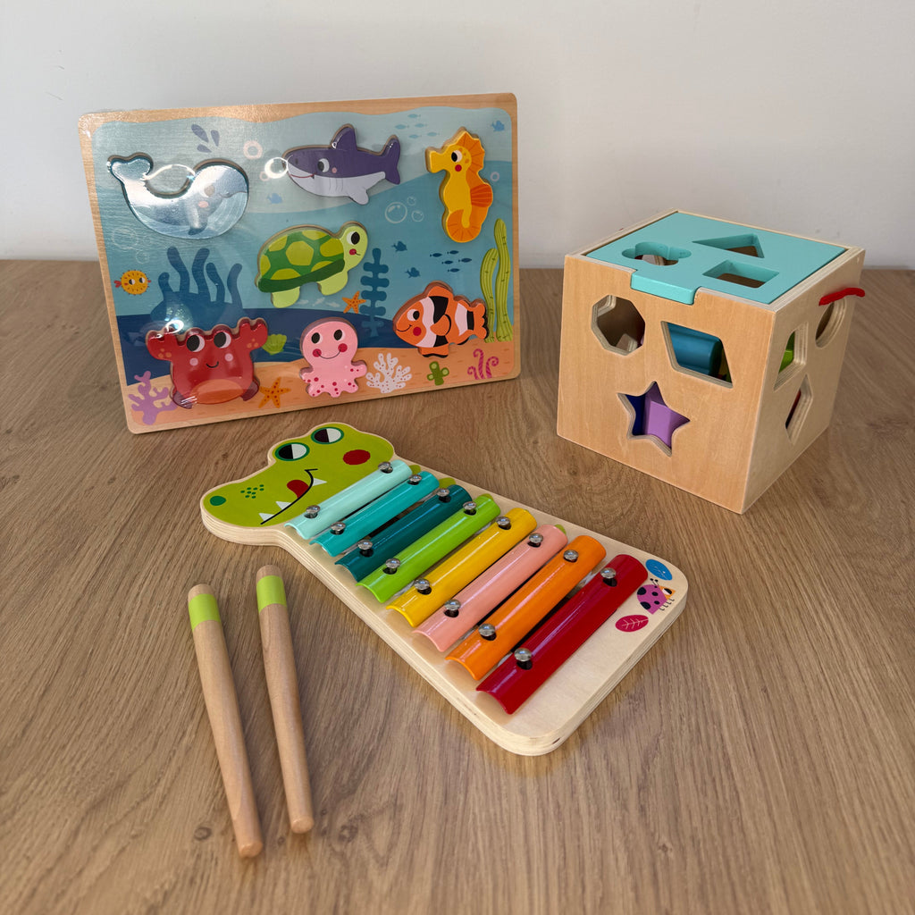 Montessori lesene didaktične igrače za dojenčke 18 mesecev – razvojni paket