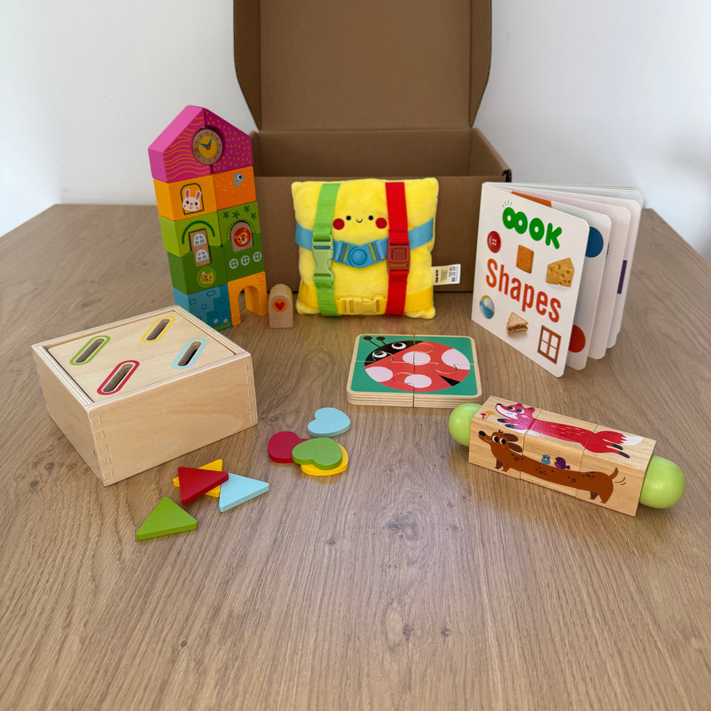 Montessori lesene didaktične igrače za malčke 19–24 mesecev – razvojni paket