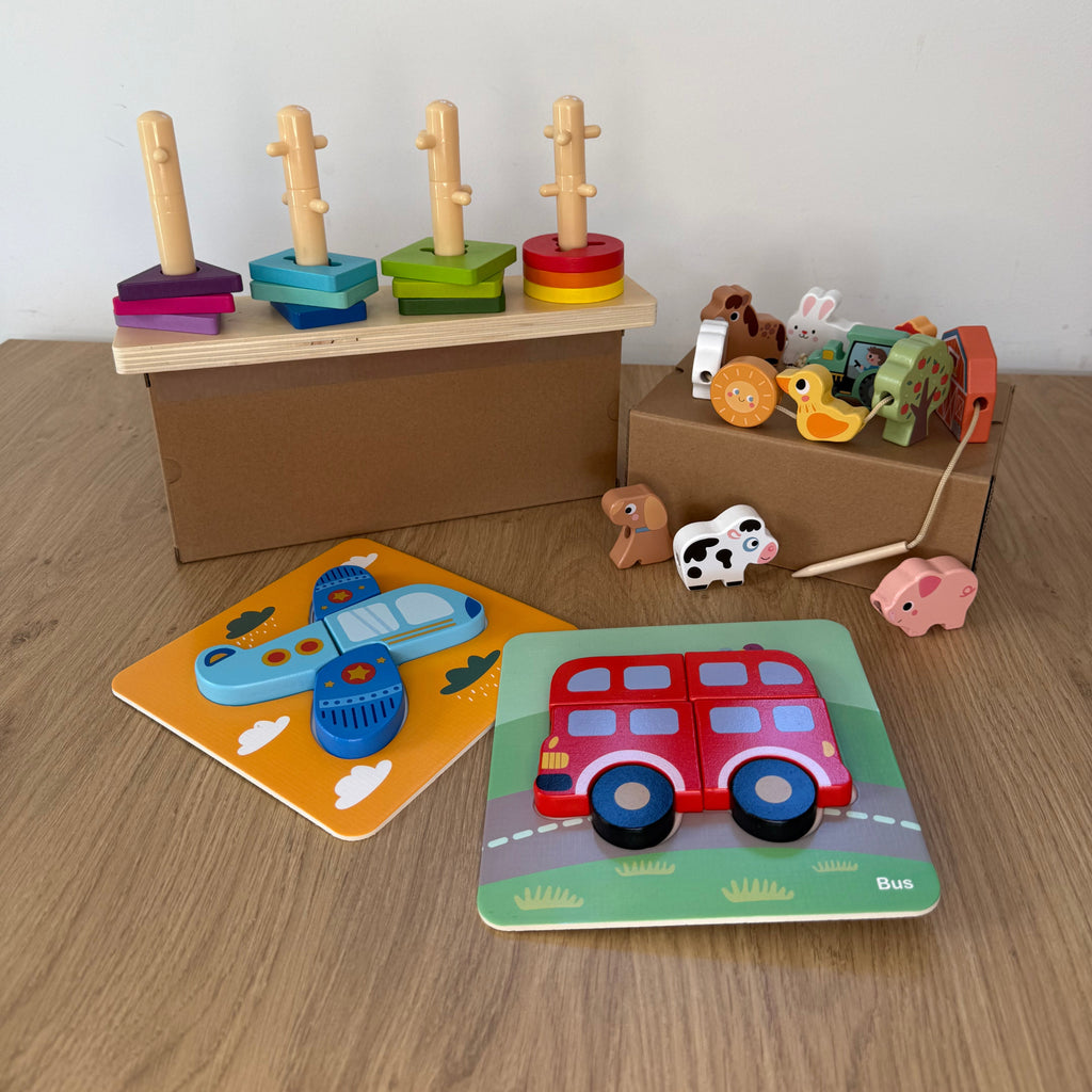 Montessori lesene didaktične igrače za dojenčke 24 mesecev – razvojni paket