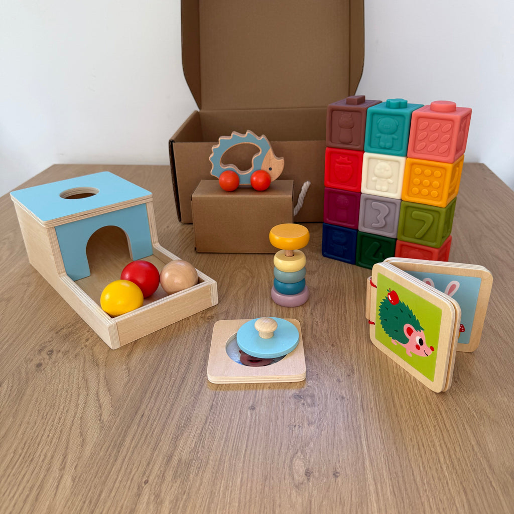 Montessori lesene didaktične igrače za dojenčke 7–12 mesecev – razvojni paket